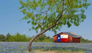 The No. 1 Travel Mistake Visitors Make in Texas