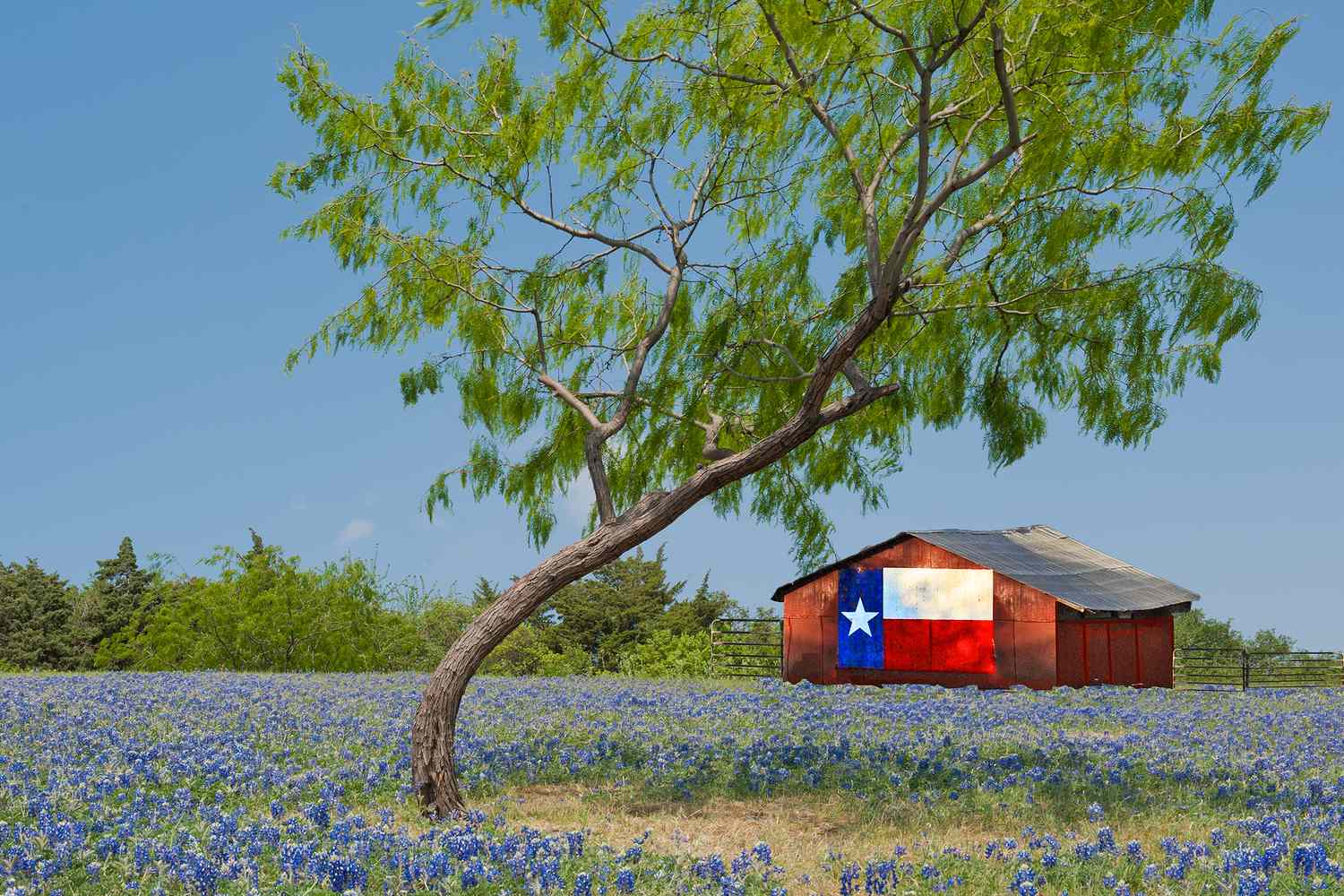 The No. 1 Travel Mistake Visitors Make in Texas