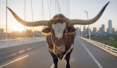 Texas Stock Exchange Launches Hard-Charging Campaign » Dallas Innovates