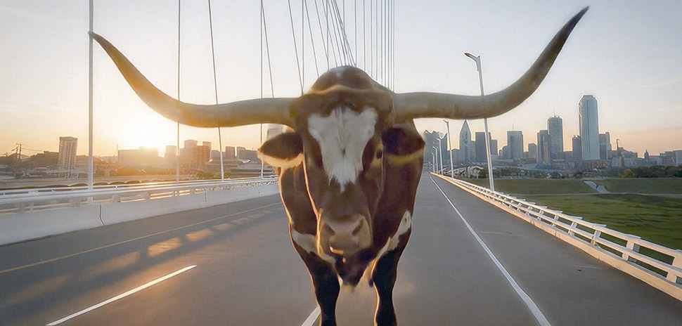 Texas Stock Exchange Launches Hard-Charging Campaign » Dallas Innovates