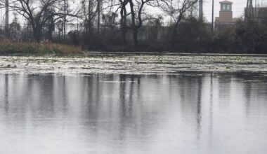 Texas State launches hub to boost water conservation