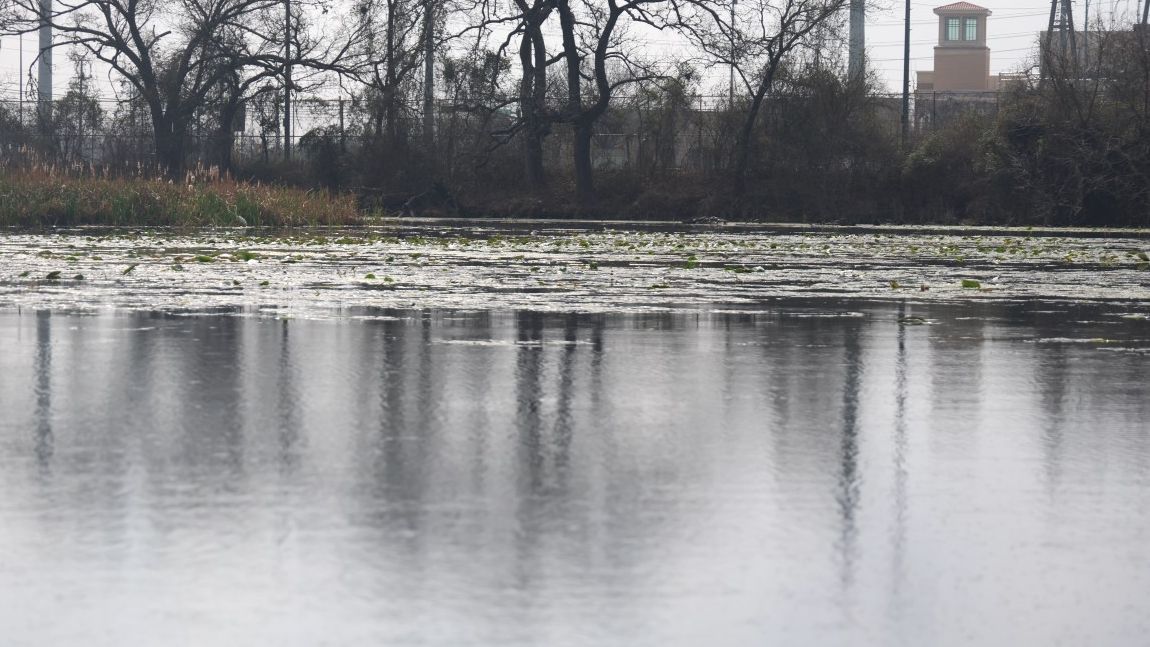 Texas State launches hub to boost water conservation