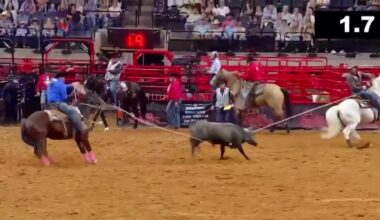 Athens roper takes 1st at San Antonio rodeo