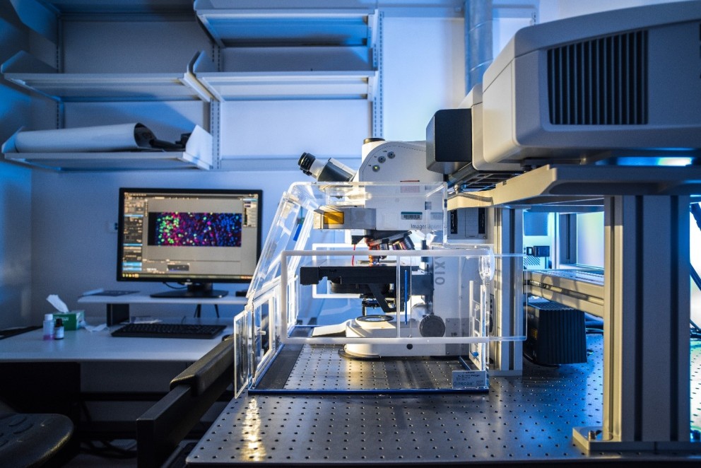 Texas Children’s Researcher Awarded Grant to Advance New Ways to Prevent and Treat Alzheimer’s Disease