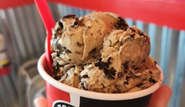 Tongue in Cheek Ice Cream Readying Second Plano Location
