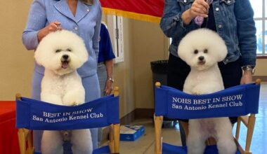 San Antonio Kennel Club, Inc. – Saturday, March 7, 2026