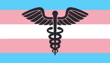 Texas Supreme Court Orders LGBTQ+ Advocacy Group to Turn Over Records in Transgender Youth Care Investigation