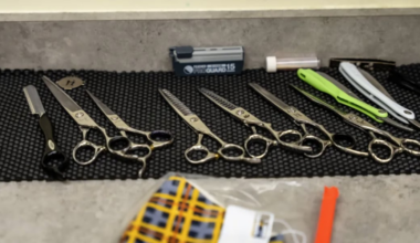 Texas will require proof of legal immigration status to get professional licenses