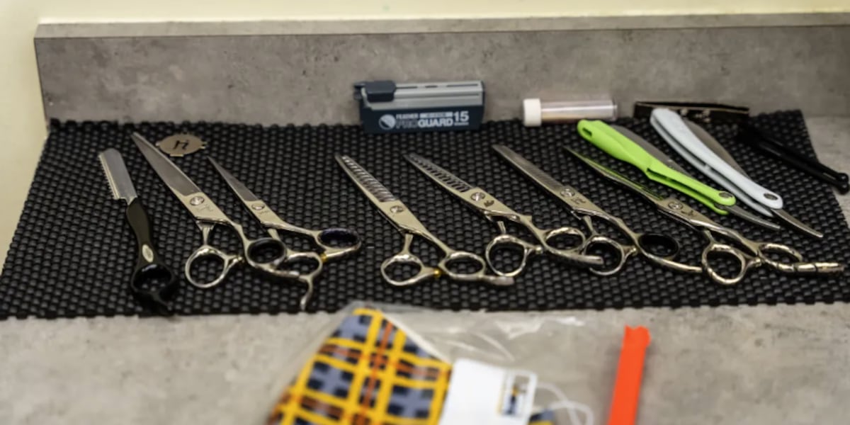 Texas will require proof of legal immigration status to get professional licenses