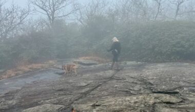 Large weekend search operation planned four months after SMU professor goes missing