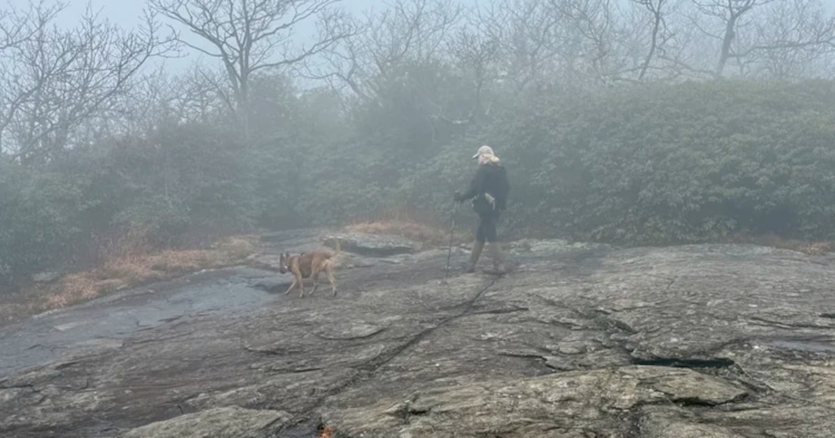 Large weekend search operation planned four months after SMU professor goes missing