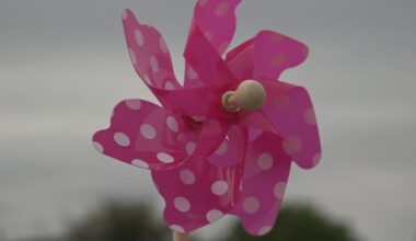 Pinwheels placed at United Supermarkets for Child Abuse Prevention Month