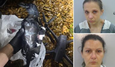 Texas pair arrested for using fake crows flown by drone -- to smuggle these illegal items into Louisiana prison