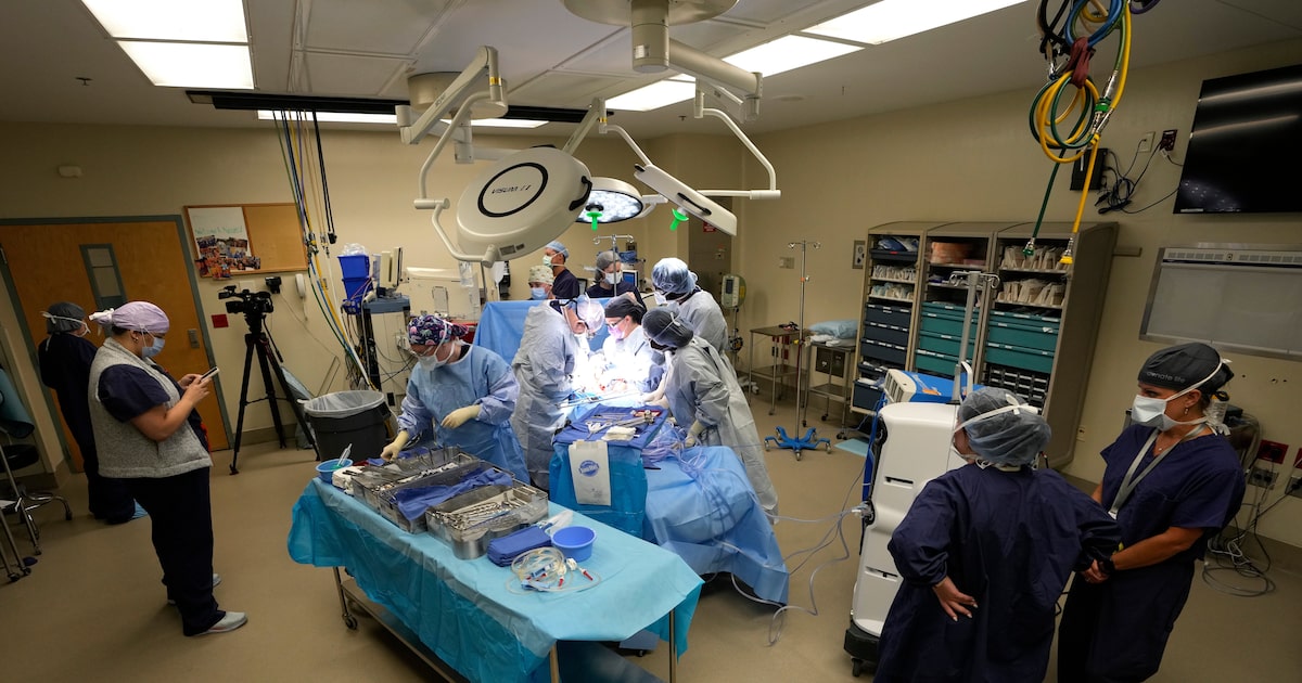 Where do my organs go if I’m a donor? Curious Texas grabs the scalpel