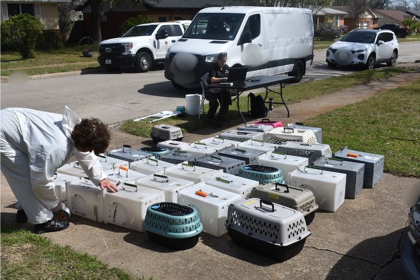 The rescued cats are receiving urgent medical care and updates will be shared when more...