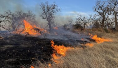 Texas experiences worst February wildfire season since 2005