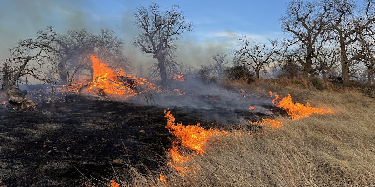 Texas experiences worst February wildfire season since 2005