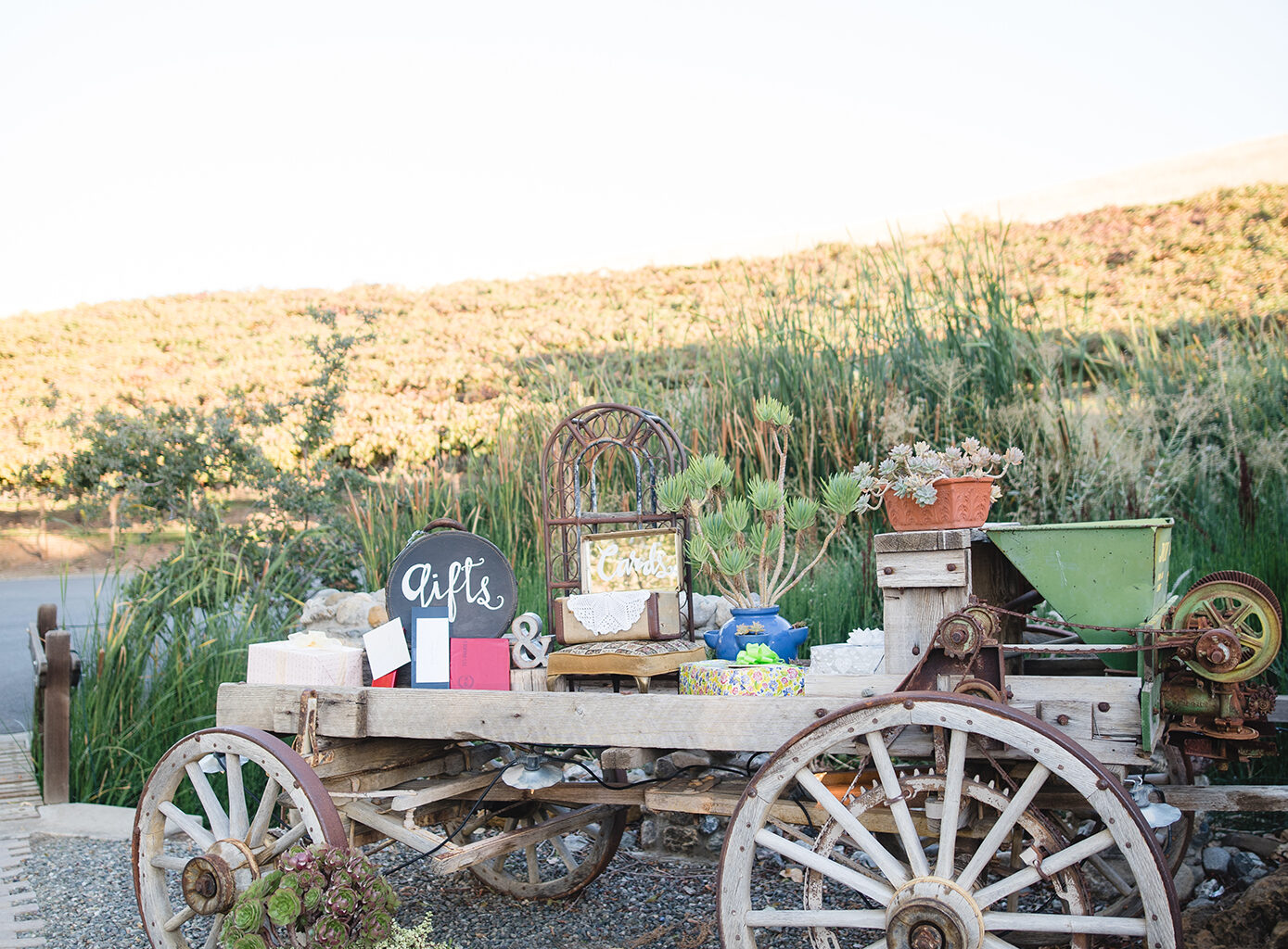 T.D.E. Wedding Announces Enhanced Wedding Photographer Training Program for Bay Area Venues