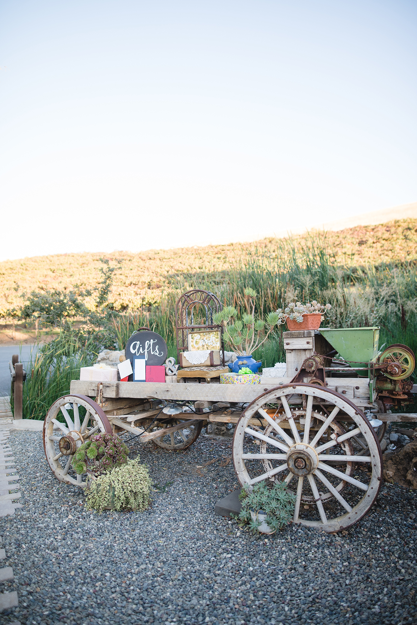 T.D.E. Wedding Photographer