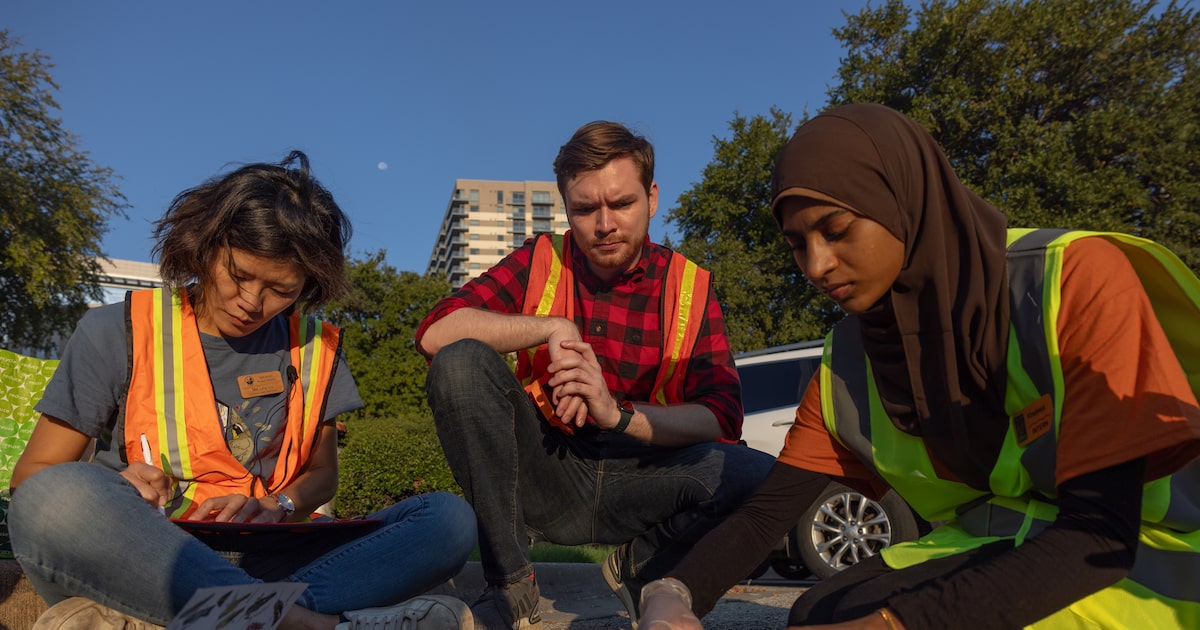 Learn how to document and reduce bird collisions in downtown Dallas