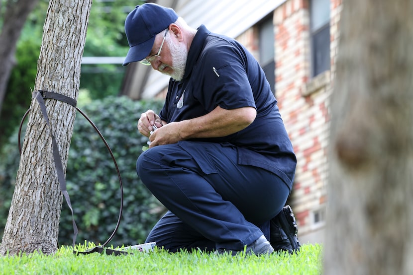 A city of Dallas Animal Services officer installs a camera on a tree two doors down from...