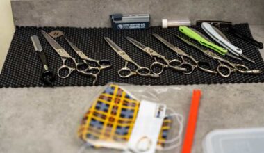 Texas will require proof of legal immigration status to get professional licenses