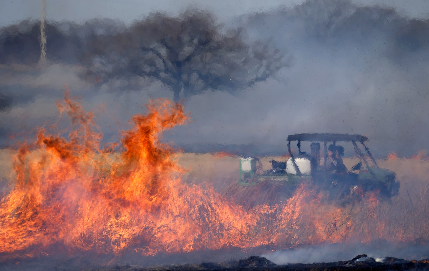 A North Texas Prescribed Burn Association fire crew monitors a wall of flames kicked up by...