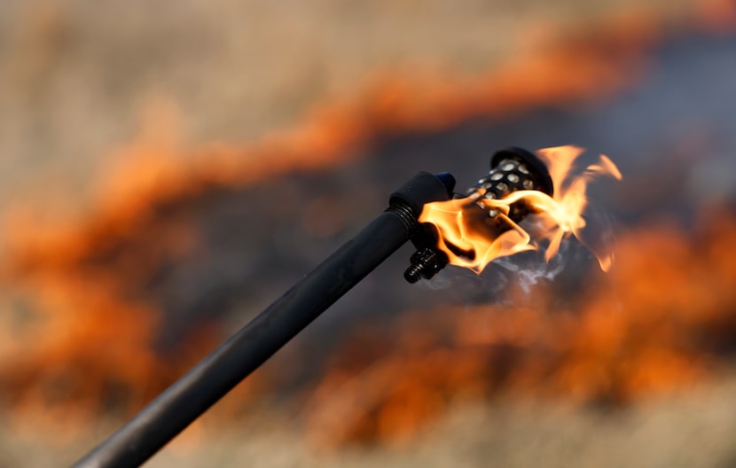 The tip of a drip torch is used to set fire to Austin and Kelli Rollins property outside of...