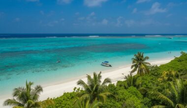 New orleans joins newark, phoenix, cincinnati, west palm beach, san antonio, and more us cities in witnessing a significant growth in tourist arrivals in the first month of 2026: everything you need to know