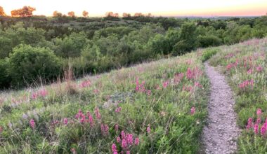 Fort Worth Park & Recreation Department buys 16-acre parcel to expand Tandy Hills Natural Area