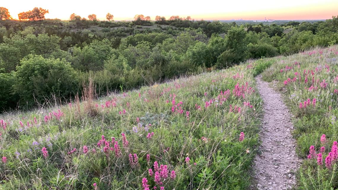 Fort Worth Park & Recreation Department buys 16-acre parcel to expand Tandy Hills Natural Area