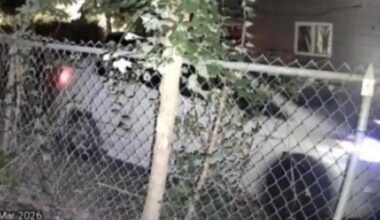 Man arrested in connection with 'window peeping' incidents across Austin