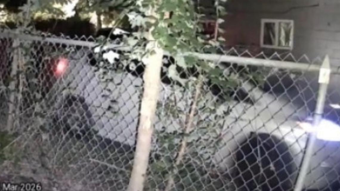 Man arrested in connection with 'window peeping' incidents across Austin