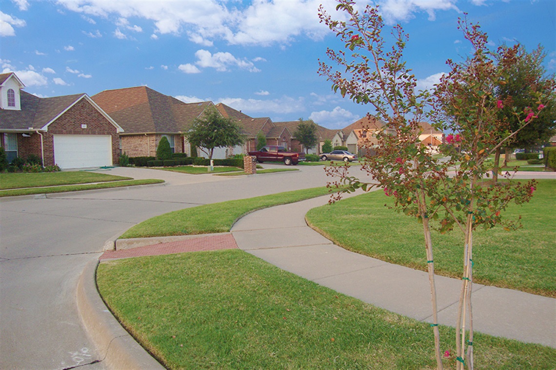 Houses along a neighborhood street