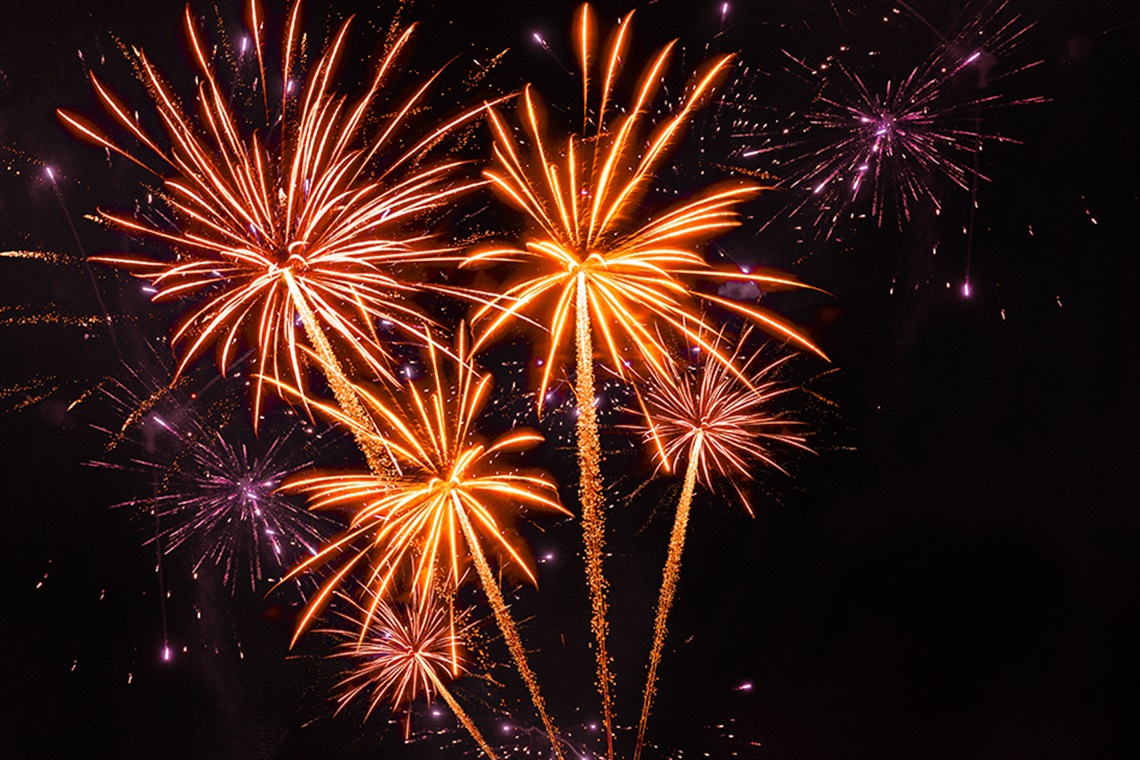 Fireworks in the night sky. 