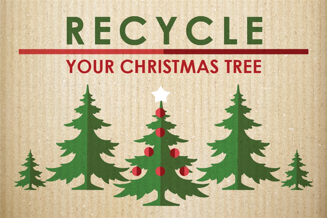 Recycle Your Christmas Tree with illustrated trees on a carboard background