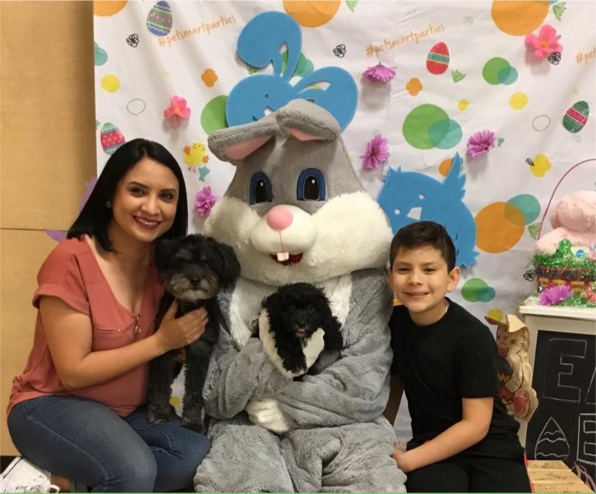 El Paso’s Family And Pet-Friendly Easter Bunny Photo Spots
