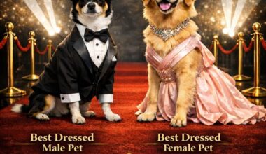 A Celebration Of Dogs And Community