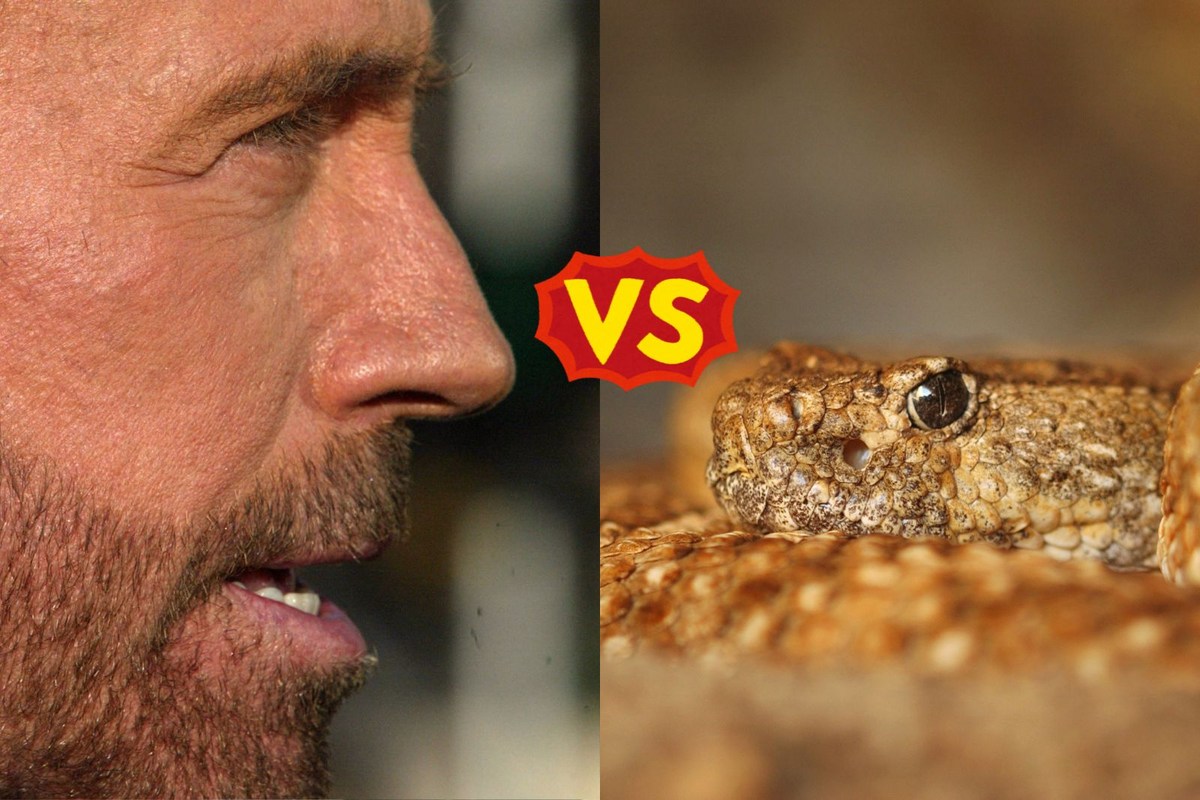 Chuck Norris Died At 86