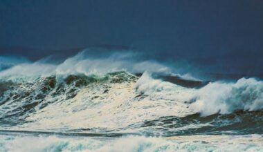 What The Coming El Niño Means For West Texas Rainfall