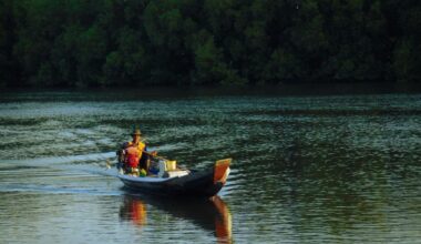 High Winds Cause Damage to Lake Alan Henry Boat Dock