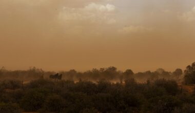 Understanding The Health Risks Of Dust Storms In Lubbock