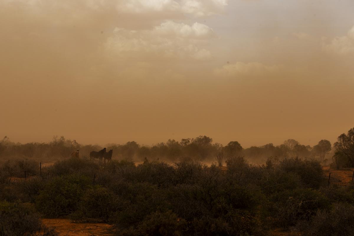 Understanding The Health Risks Of Dust Storms In Lubbock