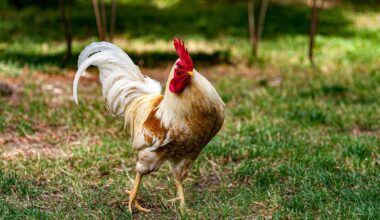 Things Lubbock Residents Brag About That Outsiders Don’t Get