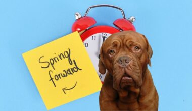 If Your Dog Is Acting Weird This Week, Here’s the Reason