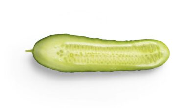What To Expect From Jakes Sports Cafe's New Pickle Menu