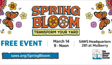 Free plants, gardening tips offered at SAWS Spring Bloom event in San Antonio