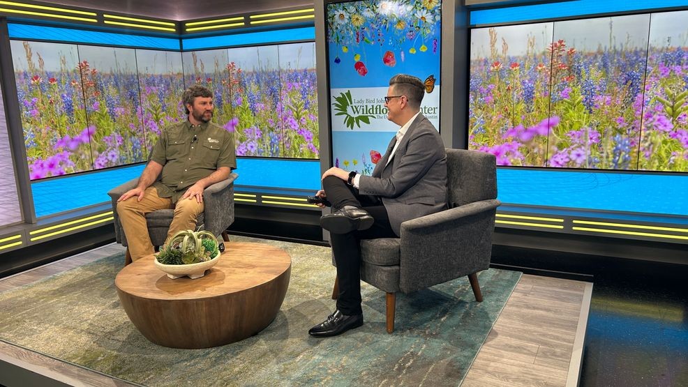 Dr. Sean Griffin, the Wildflower Center’s director of science and conservation, joined Trevor Scott in the studio to share what's blooming and what central Texans should keep an eye on.