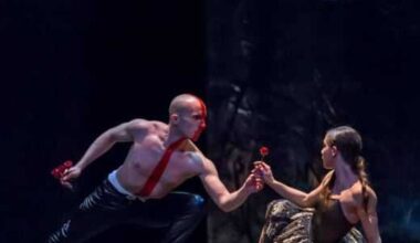 Ballet Austin responds to viral Timothée Chalamet dig