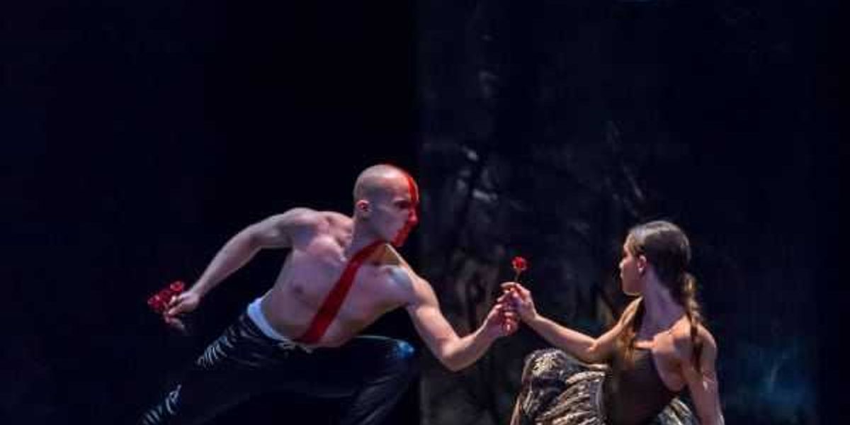 Ballet Austin responds to viral Timothée Chalamet dig